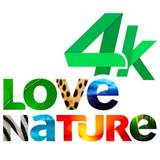LOVE NATURE 4K