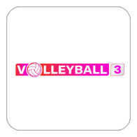 True Volleyball 3