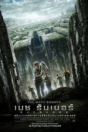 The Maze Runner เมซ รันเนอร์ วงกตมฤตยู (2014)