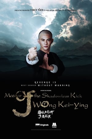 Master Of The Shadowless Kick Wong Kei Ying (2017)