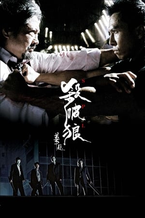 SPL Kill Zone (Saat po long) ทีมล่าเฉียดนรก (2005)