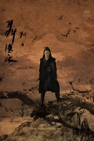 The Assassin ประกาศิต หงษ์สังหาร (2015)