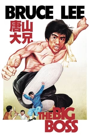 The Big Boss ไอ้หนุ่มซินตึ้ง (1971)