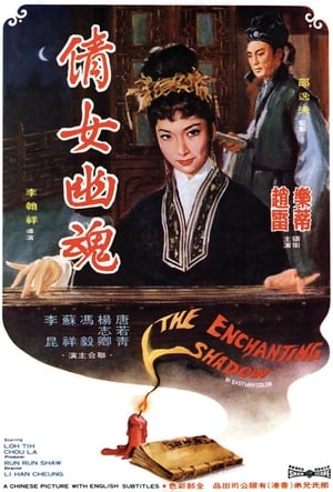 The Enchanting Shadow วิญญาณรักปีศาจสาว