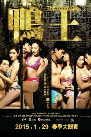 The Gigolo (Aap wong) เสน่ห์รักหนุ่มจิ๊กโกโล่ (2015) 20+