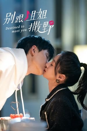Destined to Meet You (2022) รักนี้พี่ขอ บรรยายไทย