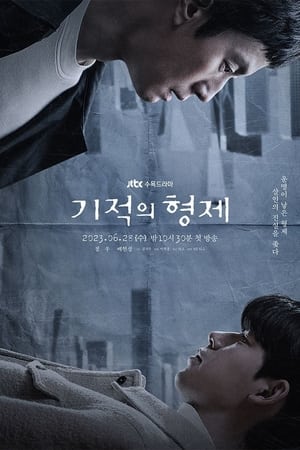 Miraculous Brothers พี่น้องปาฏิหาริย์ (2023) พากย์ไทย