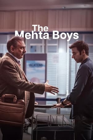 The Mehta Boys ครั้งหนึ่งคิดถึงพ่อ (2024) sub