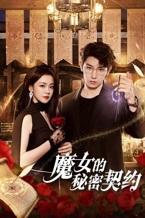 The Secret Contract of the Witch ลิขิตรักผู้วิเศษ (2025) sub