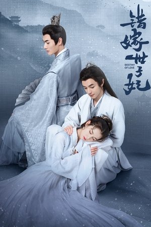Destiny of Love รักสลับบัลลังก์ (2025) sub