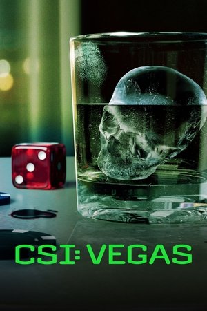 CSI Vegas ซีเอสไอ เวกัส Season 1 (2021) sub