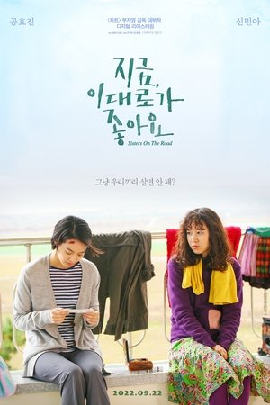 Sisters on the Road (2009) sub