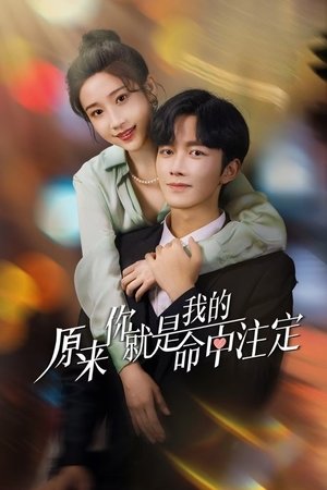 You Are My Destiny พรหมลิขิตรักไม่รู้จบ (2014) TH