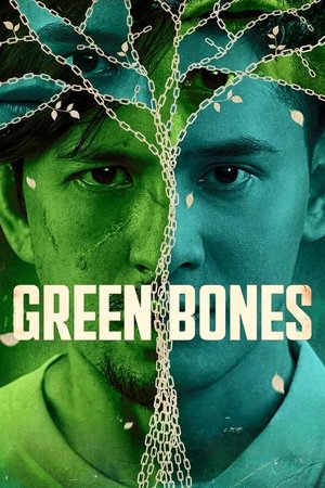 Green Bones ภารกิจยุติธรรม (2024) sub
