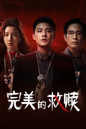The Perfect Suspect ผู้ต้องสงสัยที่สมบูรณ์แบบ (2025) sub