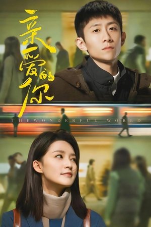 The Wonderful World แด่เธอที่รัก (2025) sub