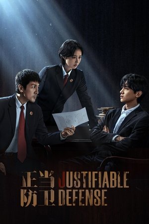 Justifiable Defense ผู้ต้องไม่หา (2025) sub