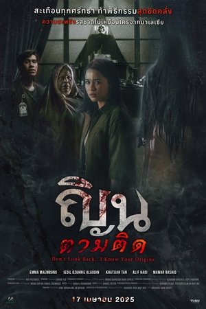 Dont Look Back... I Know Your Origins ณินตามติด (2024) sub