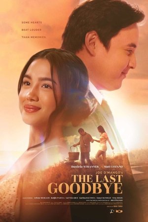 The Last Goodbye คำลาครั้งสุดท้าย (2025) sub