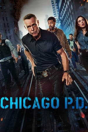 Chicago PD Season 8 (2020) sub