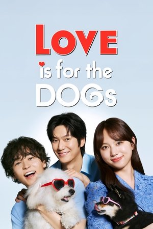 Love Is for the Dogs (2025) sub
