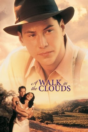 A Walk in the Clouds จะขอบูชาหัวใจเธอไว้ที่วิมานเมฆ (1995) TH