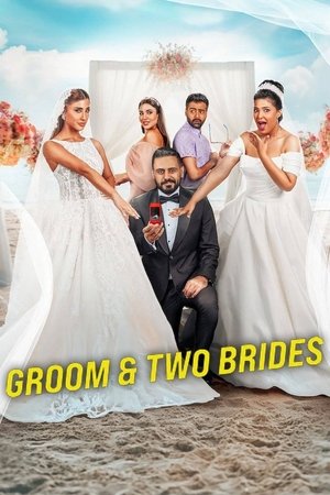 Groom and Two Brides หนึ่งเจ้าบ่าว สองเจ้าสาว (2025) sub