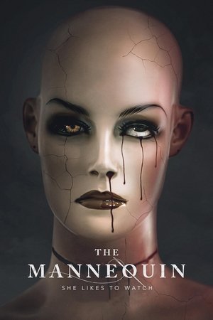 The Mannequin (2025) sub