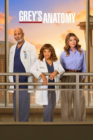 Greys Anatomy แพทย์มือใหม่ หัวใจเกินร้อย Season 22 (2025) sub