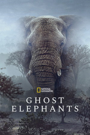 Ghost Elephants (2025) sub