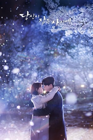 While You Were Sleeping (2017) พากย์ไทย