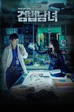 Partners for Justice (2018) พากย์ไทย