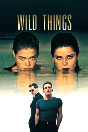 Wild Things เกมซ่อนกล (1998)