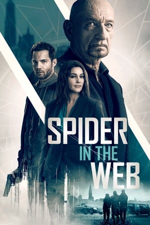 Spider in the Web สไปเดอร์ อิน เดอะเว็บ (2019)